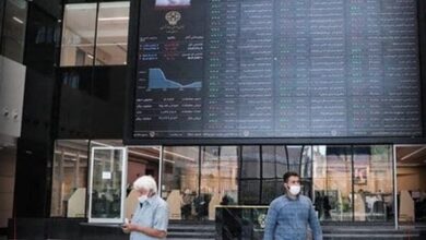 یک نماینده مجلس خواستار ابطال مصوبه نرخ گذاری خوراک گاز و پتروشیمیها شد