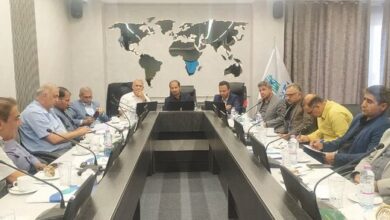 ۹۰ درصد از درآمد گمرکات استان کرمان مربوط به خودروسازیهای بم است