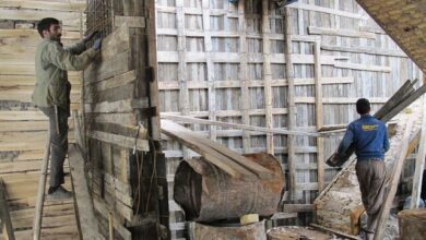 آسیبهای شغلی در سال گذشته کم شد