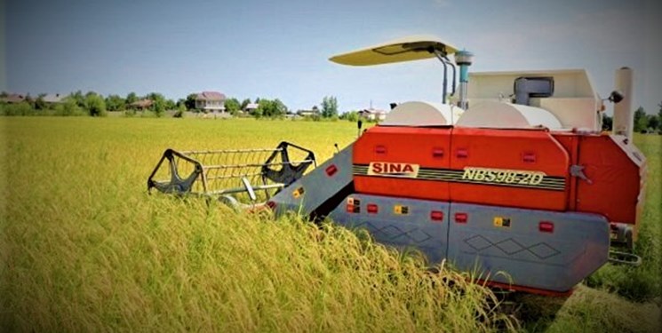 آملیها برنج 6 میلیون ایرانی را تأمین میکنند