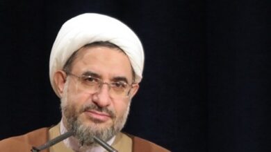 آیتالله اراکی: اربعین مهمترین سوژه مدعیان علوم اجتماعی باشد