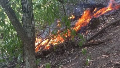 ادامه آتشسوزی در ارتفاعات نیلکوه گالیکش/ آتش کنترل شد