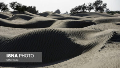 از بین رفتن ۱.۲هکتار اراضی کشاورزی در هر ساعت/شوری آب و خاک؛ تهدیدی برای منابع