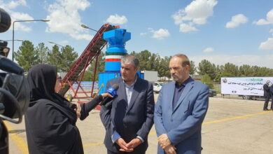 اسلامی اعلام کرد: تامین امنیت غذایی و شکوفایی اقتصادی با توسعه سامانههای پرتودهی