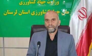 افزایش ۴ برابری تولید دانههای روغنی در لرستان