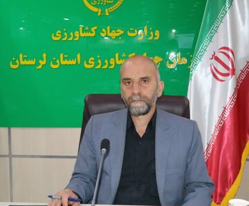 افزایش ۴ برابری تولید دانههای روغنی در لرستان