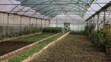 الزام QR کد برای محصولات کشاورزی از ابتدای شهریور