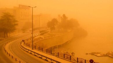 باد شدید و گرد و خاک در شرق کشور تا 5 روز آینده