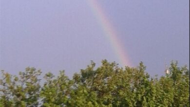 بارش باران و جلوه زیبای رنگین کمان در اردبیل + فیلم