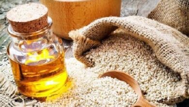 برآورد تولید حدود ۲ تن روغن کاملینا در ایران/توسعه کشت کاملینا حمایت دولت را میطلبد