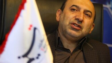 تأمین کل نیاز کشور به غذا تا ۴ سال آینده/ امسال ۱۲میلیون تن گندم تولید شد