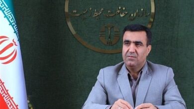 تدوین ۲ برنامه برای کاهش تصادفات جادهای یوزپلنگها