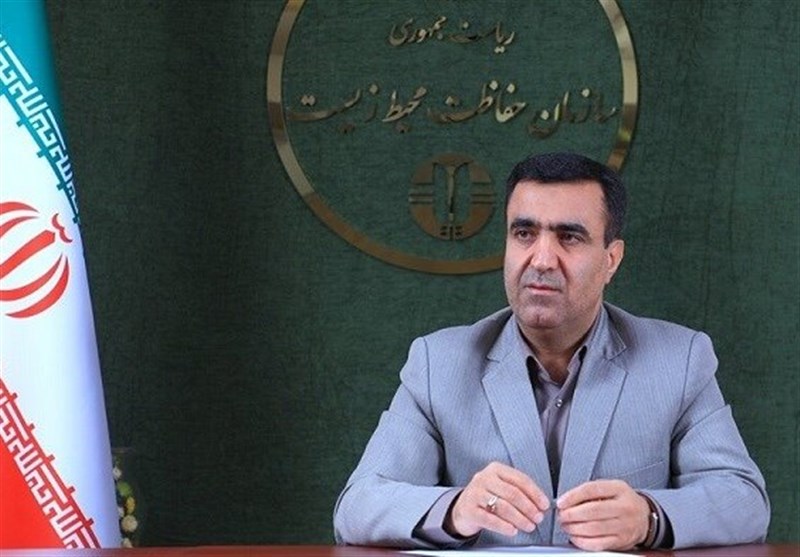 تدوین ۲ برنامه برای کاهش تصادفات جادهای یوزپلنگها