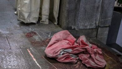 تروریست حادثه شاهچراغ که بود؟