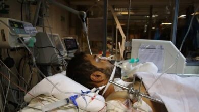 جان فدا| روایتهای حادثه تروریستی حرم شاهچراغ(ع)