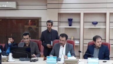 جذب ۶۹۱ میلیون دلار سرمایهگذاری خارجی طی ۳۰ سال اخیر در استان قزوین 