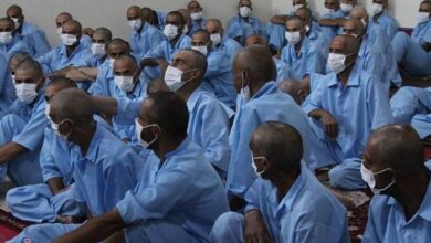 جمعآوری ۱۷۳ معتاد متجاهر و خرده فروش مواد افیونی از حاشیه شهر مشهد