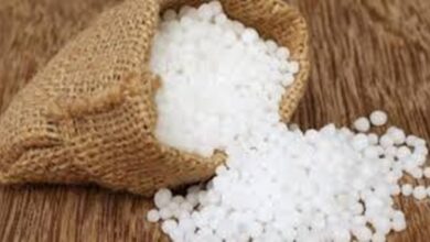 خسارت مصرف غیراصولی کود اوره به مزارع استانهای شمالغرب