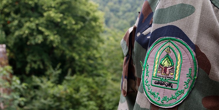 دستگیری ضاربان مأمور منابع طبیعی شهرستان نور