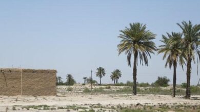 دمای عراق تا 7 برابر سریعتر از رکود جهانی در حال افزایش است