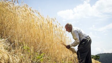 دوشنبه جلسه شورای قیمت گذاری تشکیل میشود