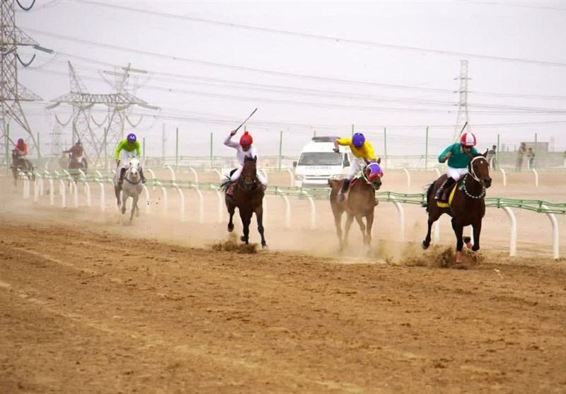 رئیس هیئت سوارکاری استان اصفهان ابقاء شد