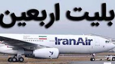 زائران برای برگشت از فرودگاه نجف حتما بلیت کاغذی داشته باشند/ ۷۵ درصد بلیتهای برگشت فروش رفت