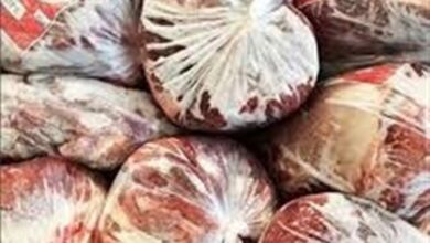 سازمان دامپزشکی: گوشت برزیلی مانده در گمرک سالم است