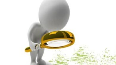 سامانه انتصابات پستهای سازمانی در کردستان رونمایی شد