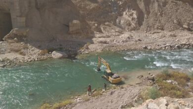 سد خرسان3، تیرخلاص به جنگلهای نیمهجان بلوط