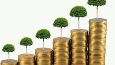 سرمایهگذاری به معنای کسب سود نیست!/ چطور ثروتمند بشویم؟