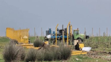 سلاجقه: رئیس جمهور تصمیم نهایی را برای پتروشیمی میانکاله میگیرد