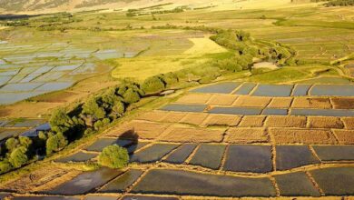 سکوت چندساله درباره خُردشدن زمینهای کشاورزی و تهدید امنیت غذایی