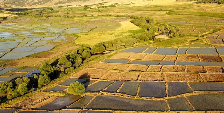 سکوت چندساله درباره خُردشدن زمینهای کشاورزی و تهدید امنیت غذایی