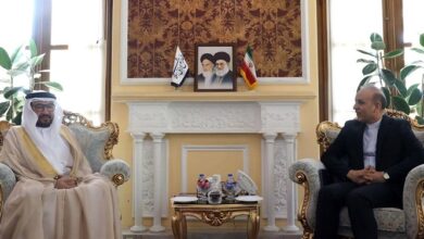 شافعی: دیپلماسی پارلمانی تقویتکننده مناسبات دولتهای ایران و امارات است