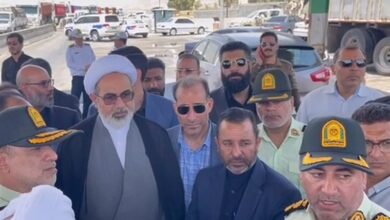 صفهای طولانی بازرسی خودرو در ایستگاه بازرسی نیریز؛ علت چیست؟ + فیلم