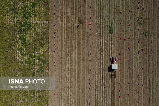 طراحی نقشه راه شورای اطلاعرسانی و ترویج سامانه پنجره واحد مدیریت زمین