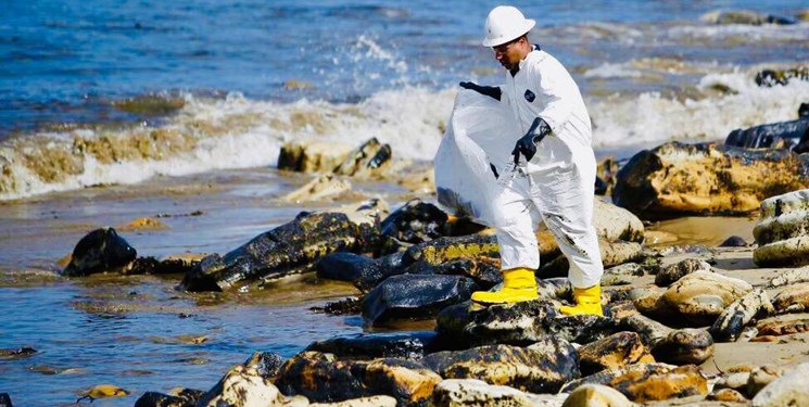 علت هجوم تاربالها به ساحل گناوه مشخص شد