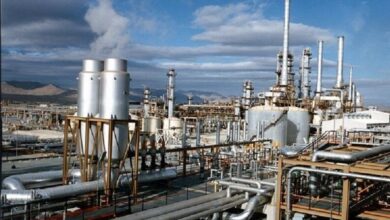 فرماندار نمین: الزامات ۱۲گانه انجام نشود مجوز بهرهبرداری نهایی به پتروشیمی داده نمیشود