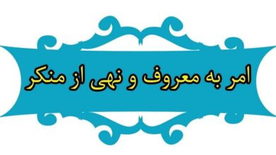 فعالیت ۶۳۷ تشکل امر به معروف و نهی از منکر در خراسان رضوی