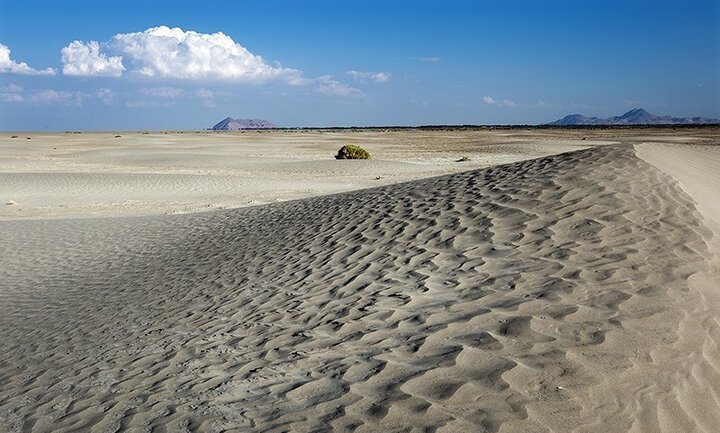 فقدان یک برنامه جامع در حوزه مدیریت پایدار و تشدید بیابانزایی