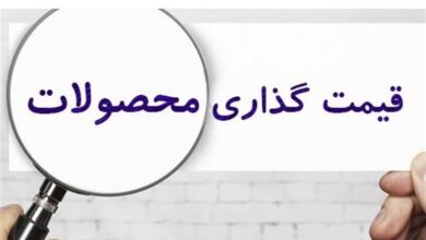 قیمتگذاری دستوری در شرایط فعلی ضرورت اجتناب ناپذیر است