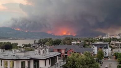 ماجرای ممنوعیت خبری شبکههای اجتماعی در کانادا چه بود؟