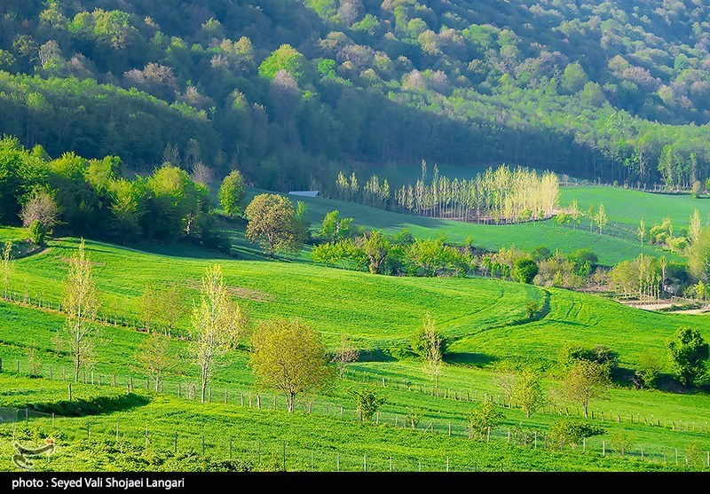 مجوز مجلس به سازمان جنگلها برای واگذاری حفاظت از جنگلها به اشخاص غیر دولتی