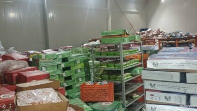 محموله 700 کیلویی مرغ قطعهبندی شده در گلپایگان معدوم شد