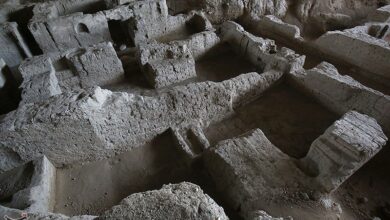 مسئولان همدانی پاسخ میدهند؛ چرا ثبت جهانی هگمتانه مهم است؟