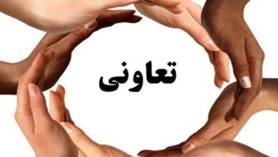 مشاور رئیسجمهور: دولت از گسترش تعاونیها در حوزه اشتغال حمایت میکند