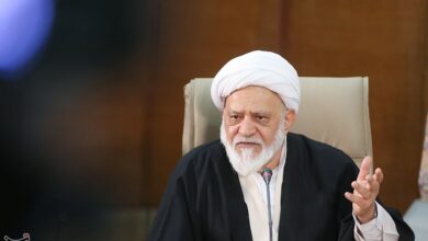 مصباحیمقدم: چرخه سود بانکی مولد ناترازی بانکهاست