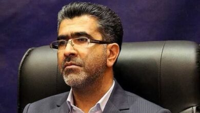 معاون استاندار فارس: بازداشتیهای عوامل موثر در حمله تروریستی شیراز به 11 نفر رسید