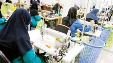 معرفی ۵۲ فرصت شغلی دانش بنیان به مددجویان کمیته امداد